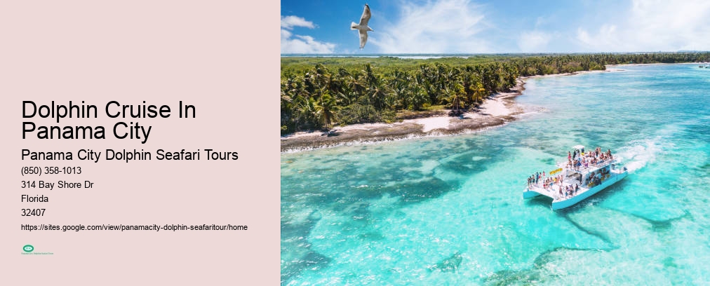Panama City Dolphin Seafari Tours