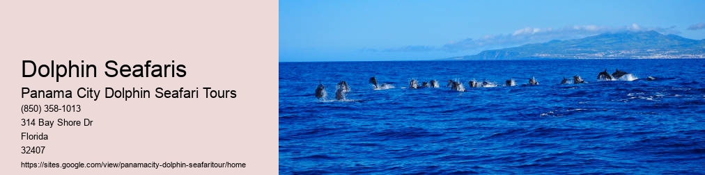 Panama City Dolphin Seafari