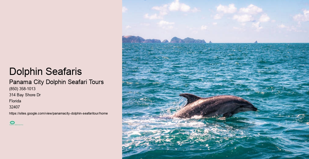 Dolphin Cruise In Panama City