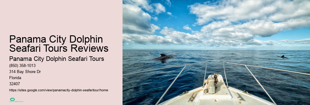 Panama City Dolphin Seafari Tours