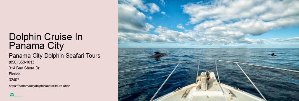 Panama City Dolphin Seafari Tours