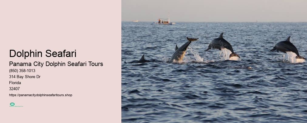 Panama City Dolphin Seafari Tours
