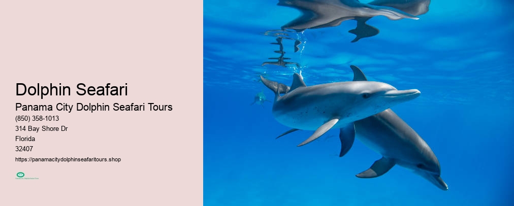 Panama City Dolphin Seafari Tours Reviews