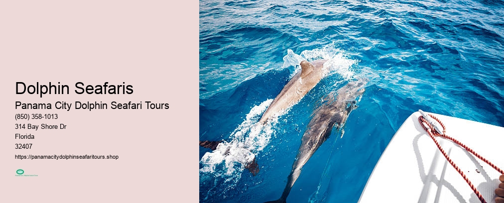 Dolphin Cruise In Panama City