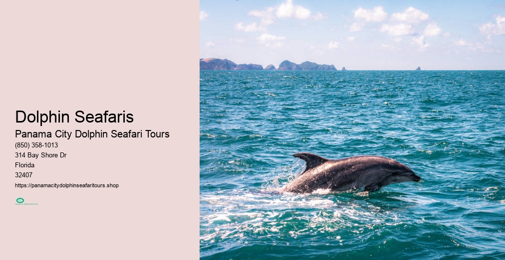 Panama City Dolphin Seafari