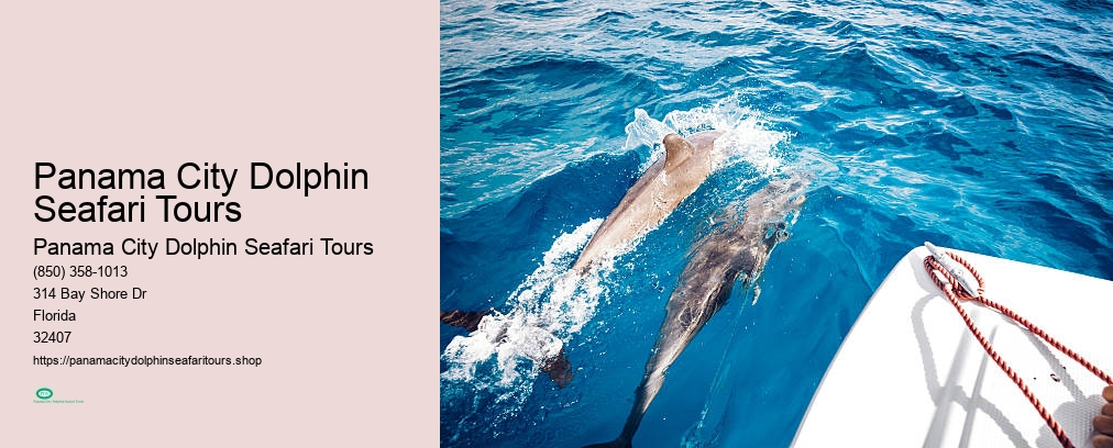 Dolphin Cruise In Panama City