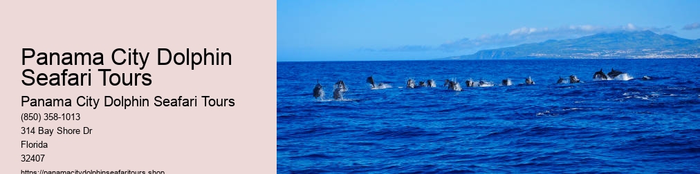 Panama City Dolphin Seafari
