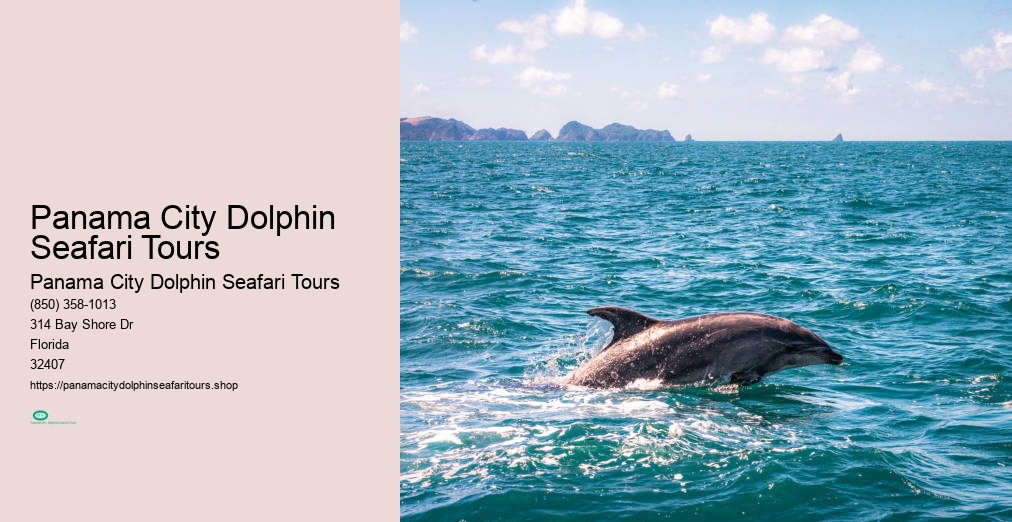 Panama City Dolphin Seafari Tours