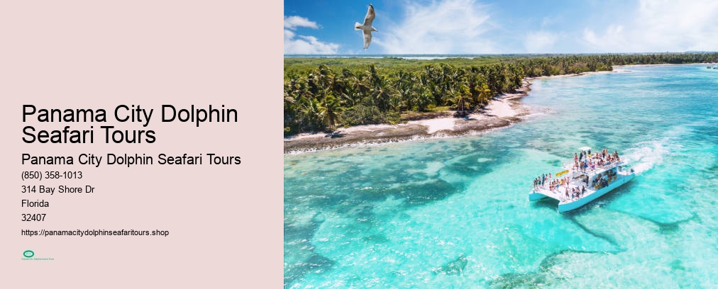 Panama City Dolphin Seafari Tours