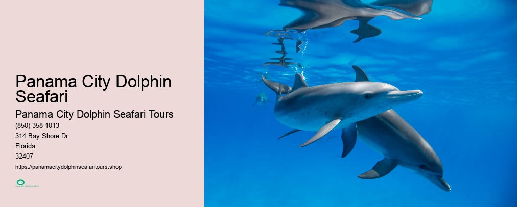 Panama City Dolphin Seafari Tours Reviews