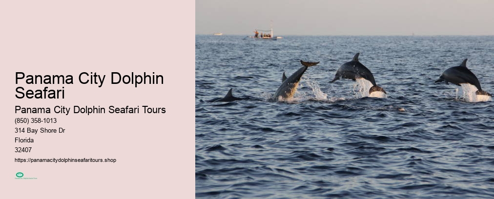Panama City Dolphin Seafari