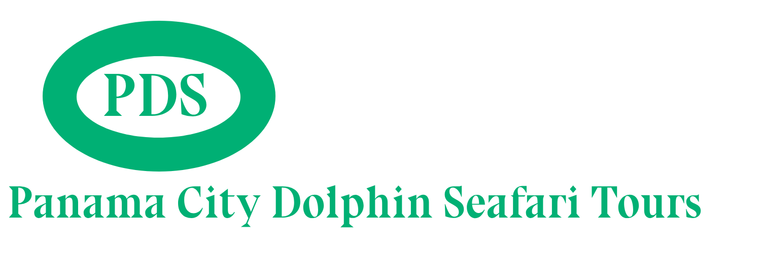 img/panamacitydolphinseafaritours.png